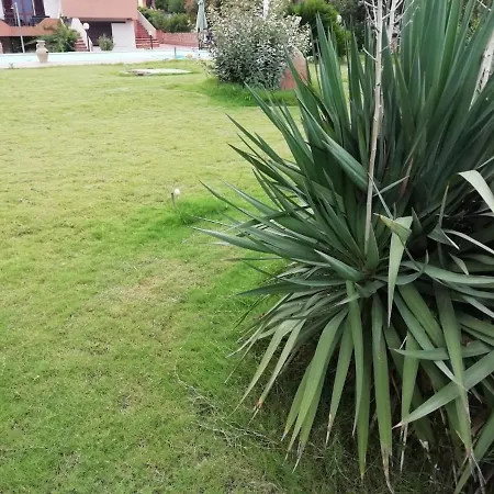 Stefania Exclusive With Big Private Pool And Double Bathroom Apartment Castelsardo